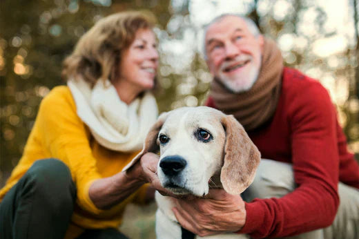 An elderly couple enjoying and playing outdoors with their pet dog