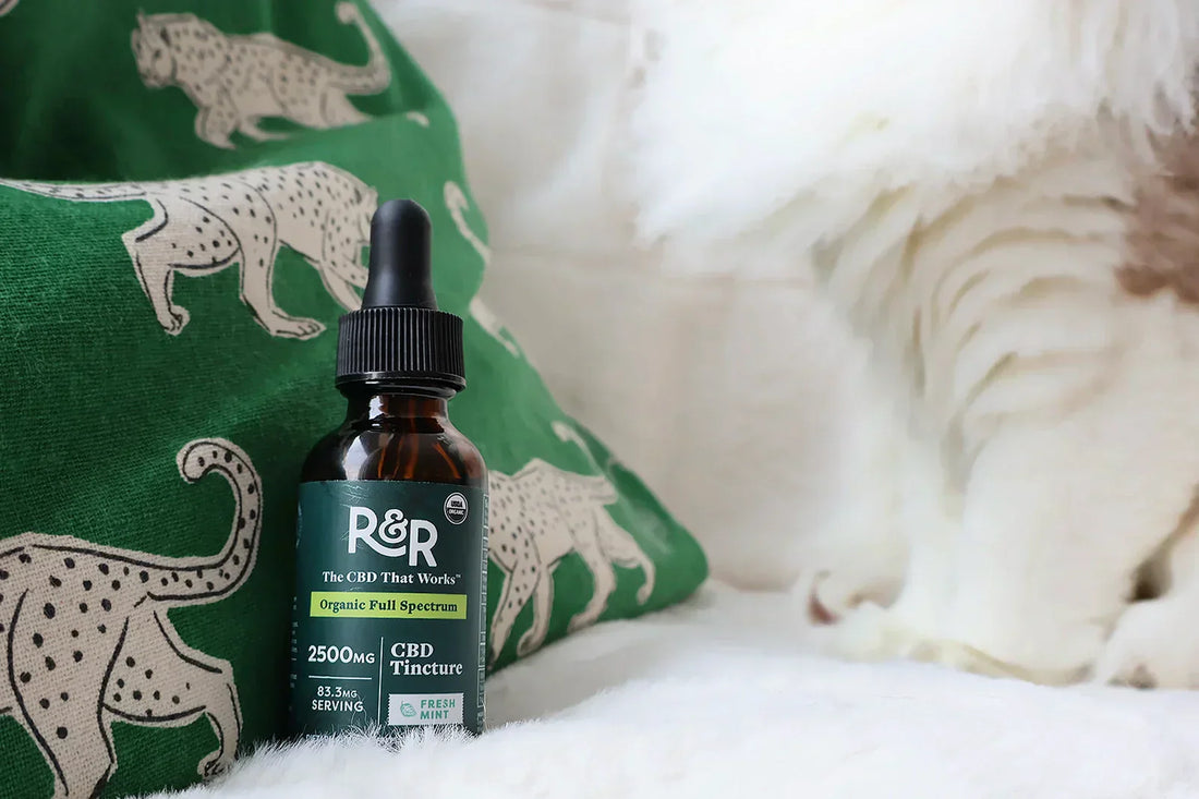 An R&R Fresh Mint flavor CBD tincture rests on a bed in front of a white cat