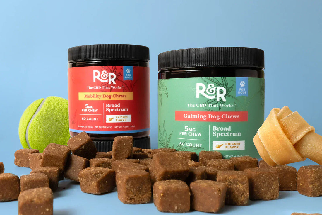  container of R&R CBD Mobility Dog Chews and Calming Dog Chews, along with some chews spread on a blue surface