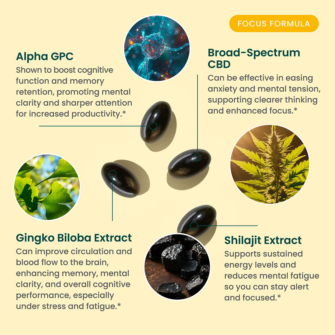 CBD Focus Softgels